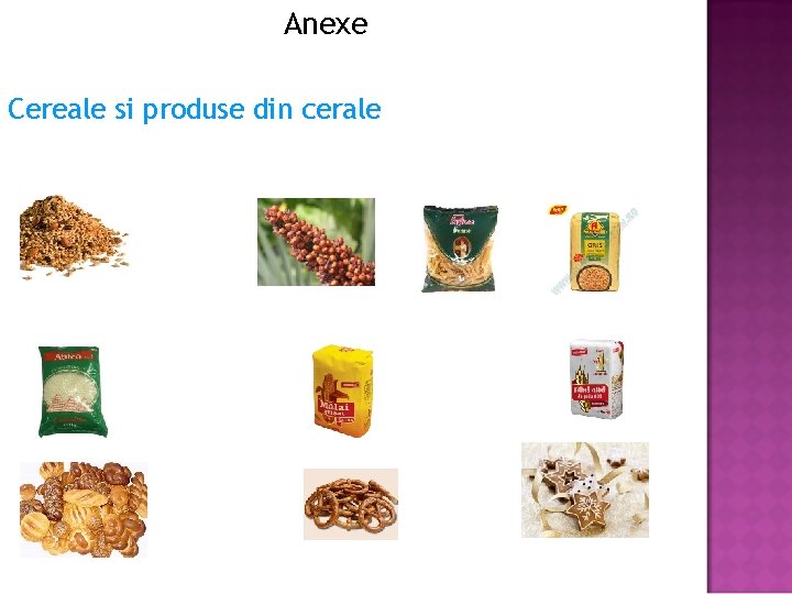 Anexe Cereale si produse din cerale 