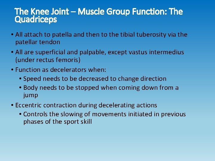 The Knee Joint – Muscle Group Function: The Quadriceps • All attach to patella