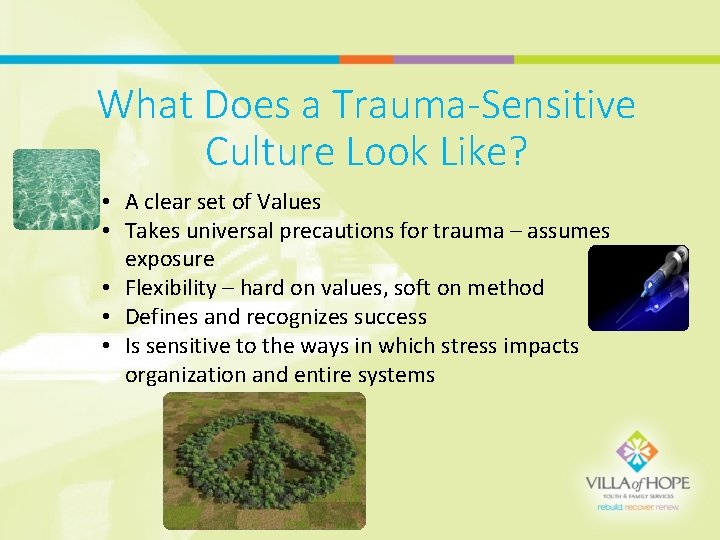 What Does a Trauma-Sensitive Culture Look Like? • A clear set of Values •