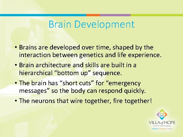 Brain Development • Brains are developed over time, shaped by the interaction between genetics
