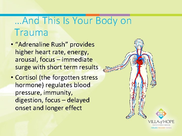 …And This Is Your Body on Trauma • “Adrenaline Rush” provides higher heart rate,