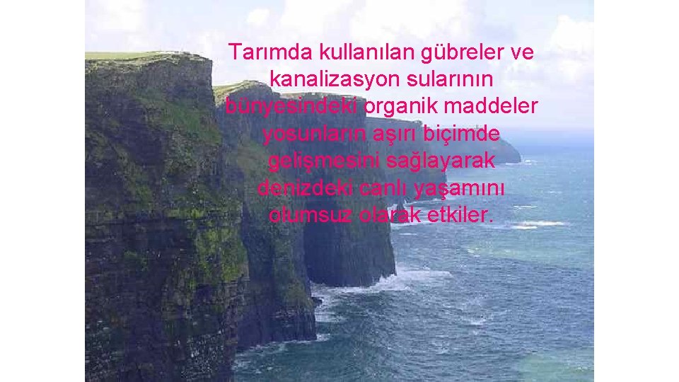 Tarımda kullanılan gübreler ve kanalizasyon sularının bünyesindeki organik maddeler yosunların aşırı biçimde gelişmesini sağlayarak