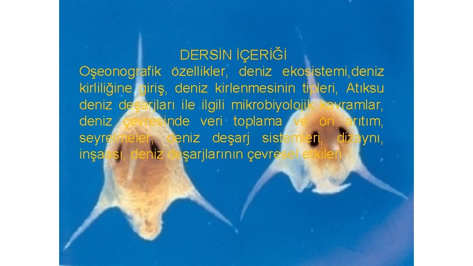 DERSİN İÇERİĞİ Oşeonografik özellikler, deniz ekosistemi, deniz kirliliğine giriş, deniz kirlenmesinin tipleri, Atıksu deniz