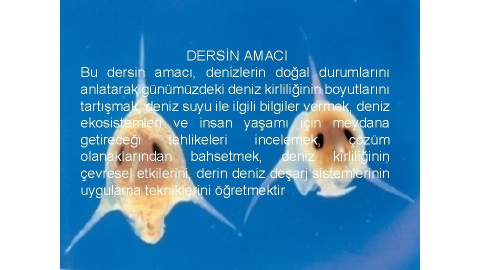 DERSİN AMACI Bu dersin amacı, denizlerin doğal durumlarını anlatarak günümüzdeki deniz kirliliğinin boyutlarını tartışmak,