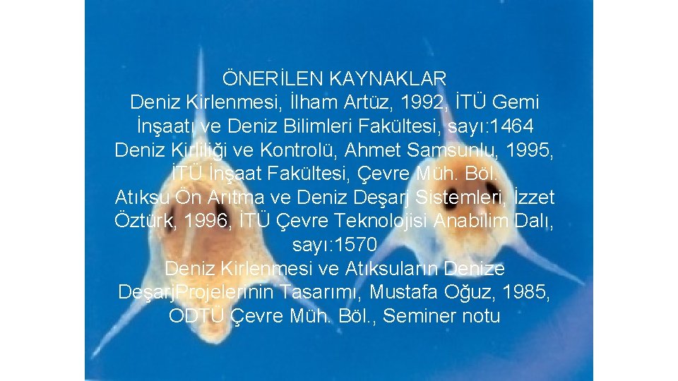 ÖNERİLEN KAYNAKLAR Deniz Kirlenmesi, İlham Artüz, 1992, İTÜ Gemi İnşaatı ve Deniz Bilimleri Fakültesi,