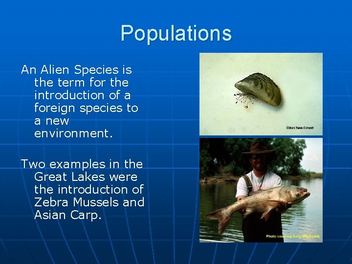 Populations An Alien Species is the term for the introduction of a foreign species