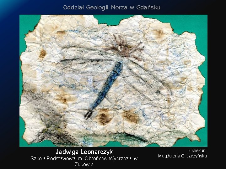 Oddział Geologii Morza w Gdańsku Jadwiga Leonarczyk Szkoła Podstawowa im. Obrońców Wybrzeża w Żukowie