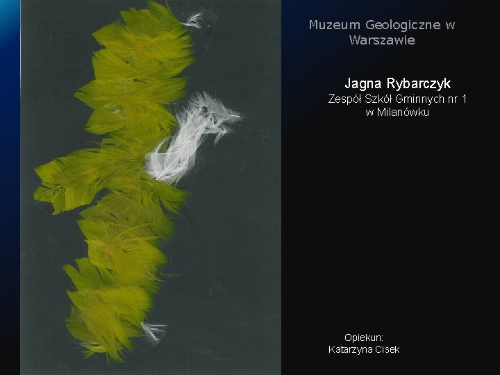 Muzeum Geologiczne w Warszawie Jagna Rybarczyk Zespół Szkół Gminnych nr 1 w Milanówku Opiekun: