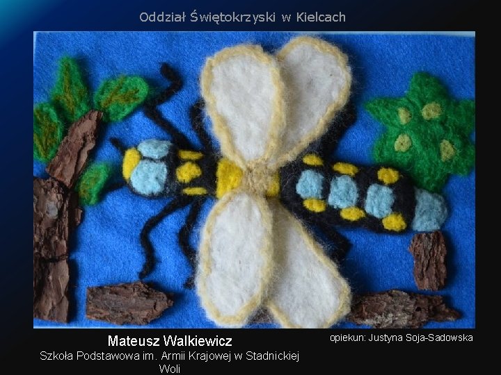 Oddział Świętokrzyski w Kielcach Paulina Jakubowska Zespół Szkół w Leśmierzu Mateusz Walkiewicz Szkoła Podstawowa