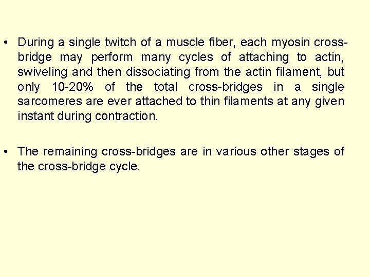  • During a single twitch of a muscle fiber, each myosin crossbridge may