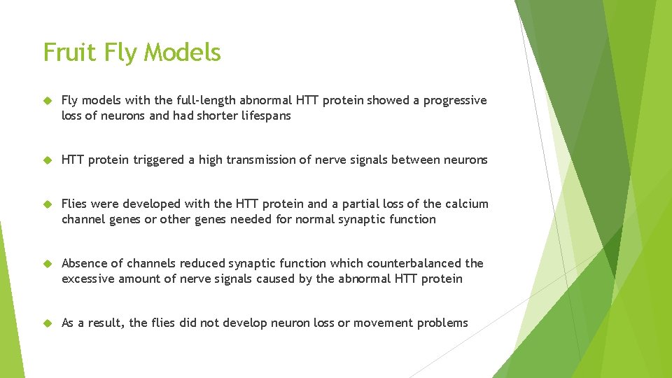 Fruit Fly Models Fly models with the full-length abnormal HTT protein showed a progressive