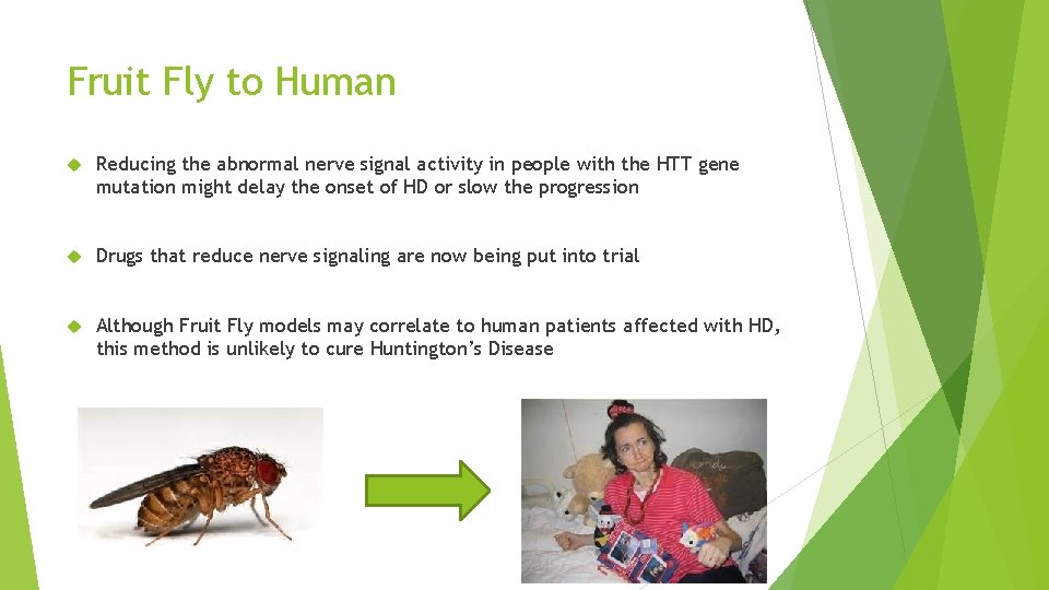 Fruit Fly to Human Reducing the abnormal nerve signal activity in people with the