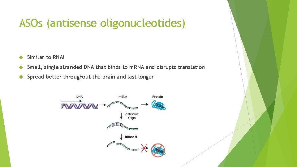 ASOs (antisense oligonucleotides) Similar to RNAi Small, single stranded DNA that binds to m.