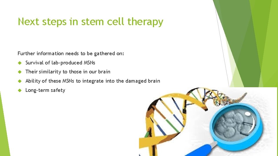 Next steps in stem cell therapy Further information needs to be gathered on: Survival