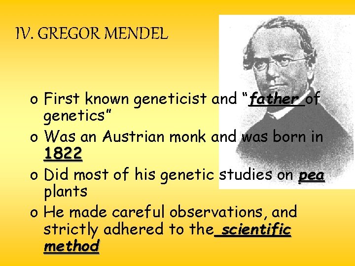 IV. GREGOR MENDEL o First known geneticist and “father of genetics” o Was an IV. GREGOR MENDEL o First known geneticist and “father of genetics” o Was an
