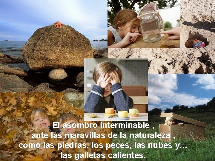 El asombro interminable , ante las maravillas de la naturaleza , como las piedras,