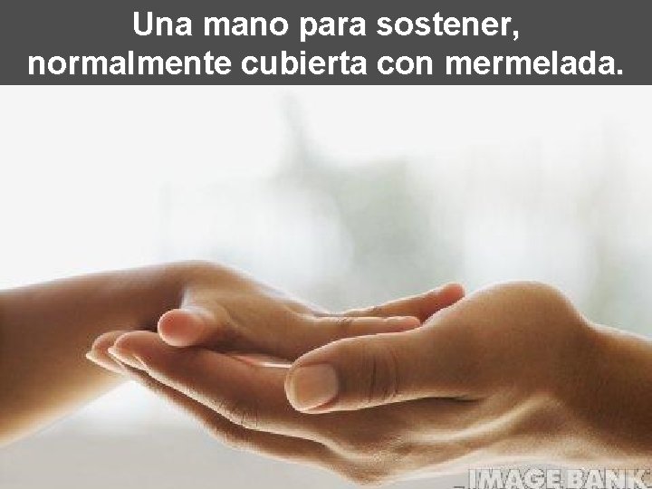 Una mano para sostener, normalmente cubierta con mermelada. 