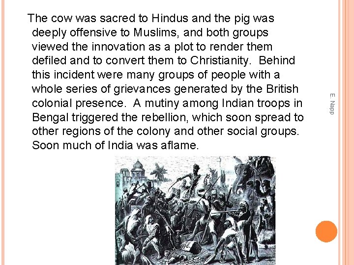 E. Napp The cow was sacred to Hindus and the pig was deeply offensive