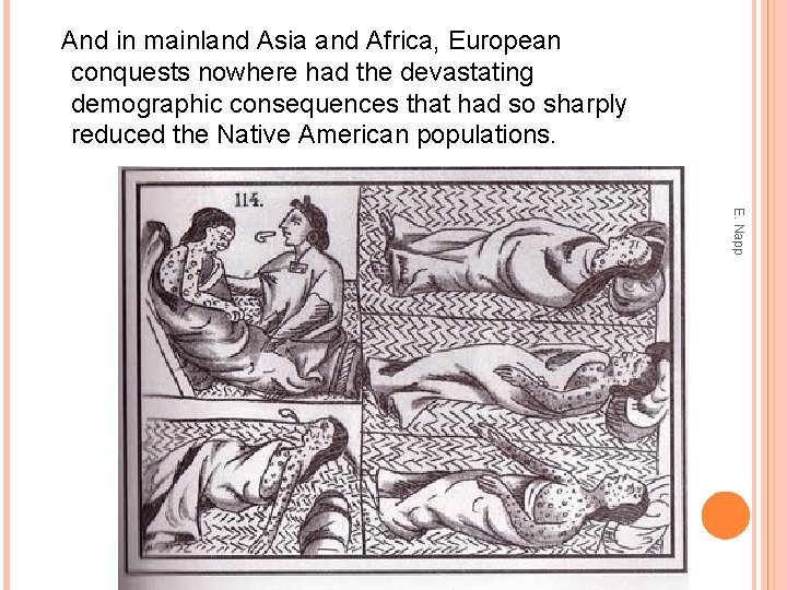 And in mainland Asia and Africa, European conquests nowhere had the devastating demographic consequences