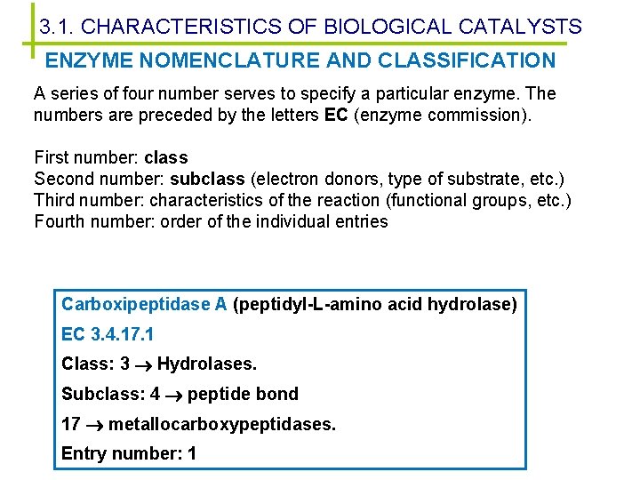 3. 1. CHARACTERISTICS OF BIOLOGICAL CATALYSTS ENZYME NOMENCLATURE AND CLASSIFICATION A series of four