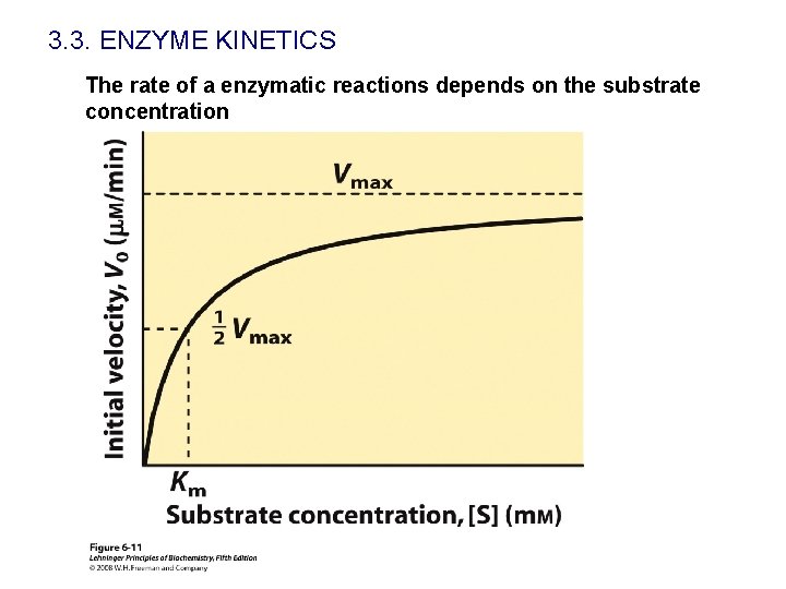 3. 3. ENZYME KINETICS The rate of a enzymatic reactions depends on the substrate