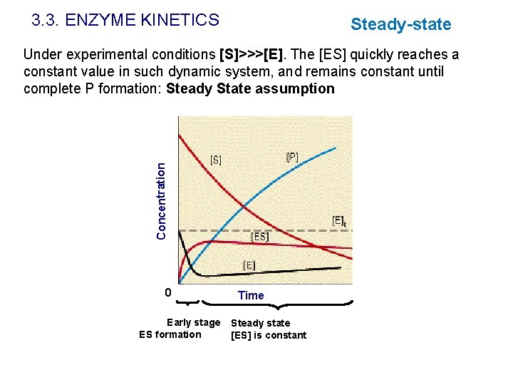 3. 3. ENZYME KINETICS Steady-state Concentration Under experimental conditions [S]>>>[E]. The [ES] quickly reaches