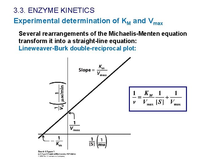 3. 3. ENZYME KINETICS Experimental determination of KM and Vmax Several rearrangements of the