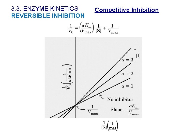 3. 3. ENZYME KINETICS REVERSIBLE INHIBITION Competitive Inhibition 