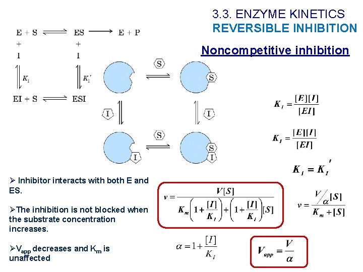 3. 3. ENZYME KINETICS REVERSIBLE INHIBITION Noncompetitive inhibition Ø Inhibitor interacts with both E