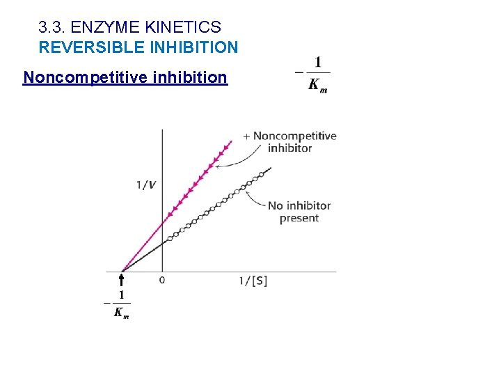3. 3. ENZYME KINETICS REVERSIBLE INHIBITION Noncompetitive inhibition 