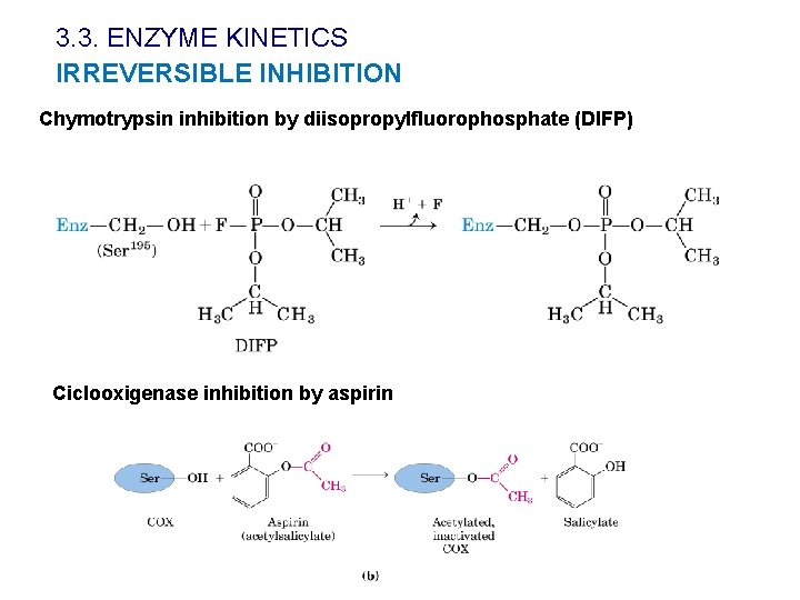 3. 3. ENZYME KINETICS IRREVERSIBLE INHIBITION Chymotrypsin inhibition by diisopropylfluorophosphate (DIFP) Ciclooxigenase inhibition by