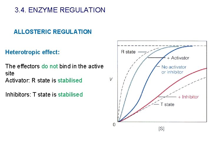 3. 4. ENZYME REGULATION ALLOSTERIC REGULATION Heterotropic effect: The effectors do not bind in