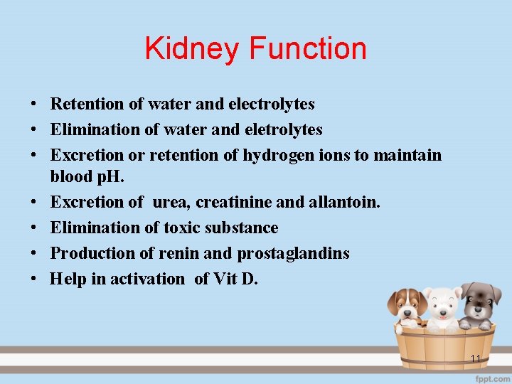 Kidney Function • Retention of water and electrolytes • Elimination of water and eletrolytes