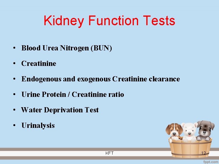 Kidney Function Tests • Blood Urea Nitrogen (BUN) • Creatinine • Endogenous and exogenous