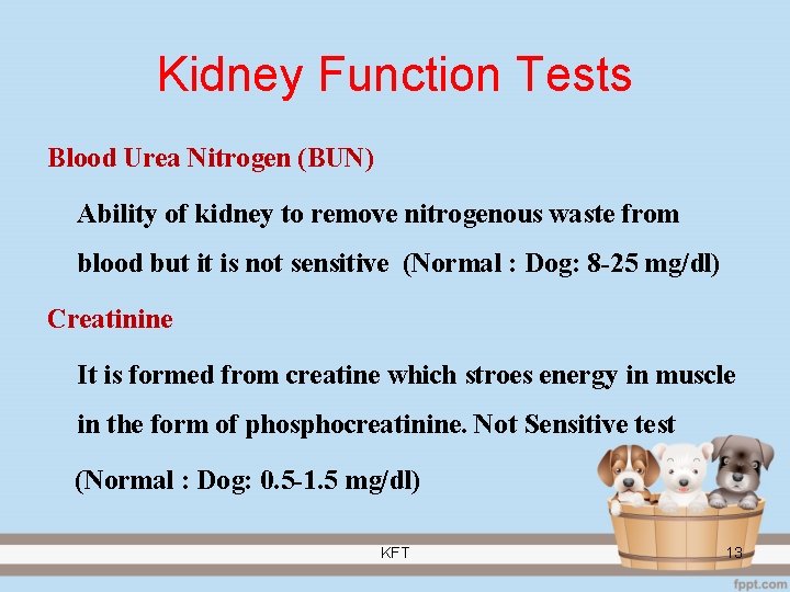 Kidney Function Tests Blood Urea Nitrogen (BUN) Ability of kidney to remove nitrogenous waste