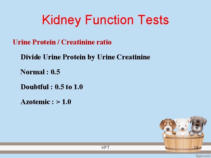 Kidney Function Tests Urine Protein / Creatinine ratio Divide Urine Protein by Urine Creatinine
