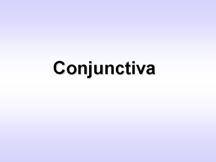 Conjunctiva 