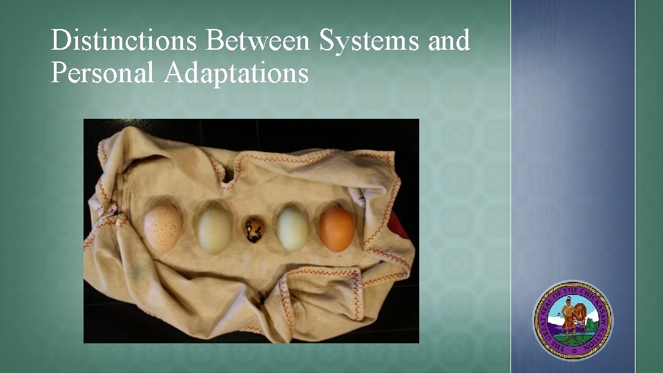 Distinctions Between Systems and Personal Adaptations 