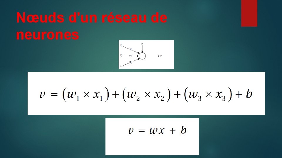 Nœuds d'un réseau de neurones 