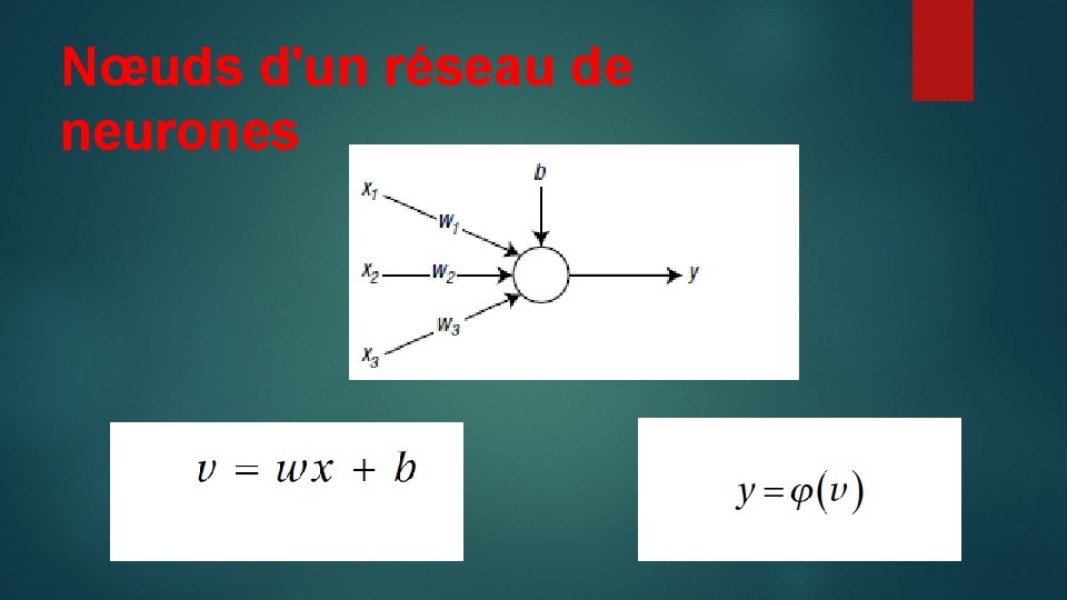 Nœuds d'un réseau de neurones 