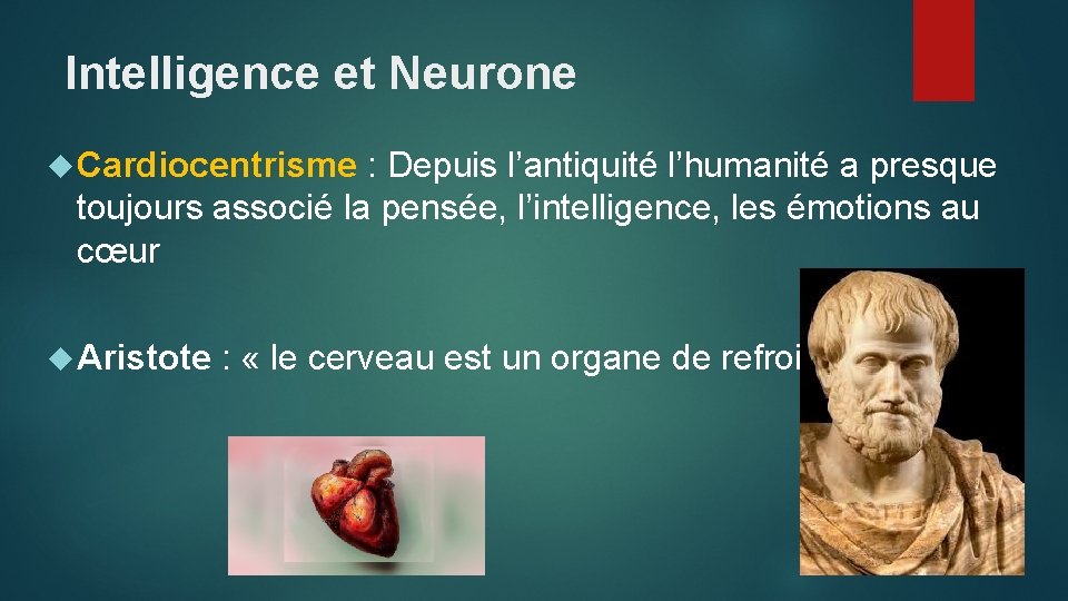 Intelligence et Neurone Cardiocentrisme : Depuis l’antiquité l’humanité a presque toujours associé la pensée,
