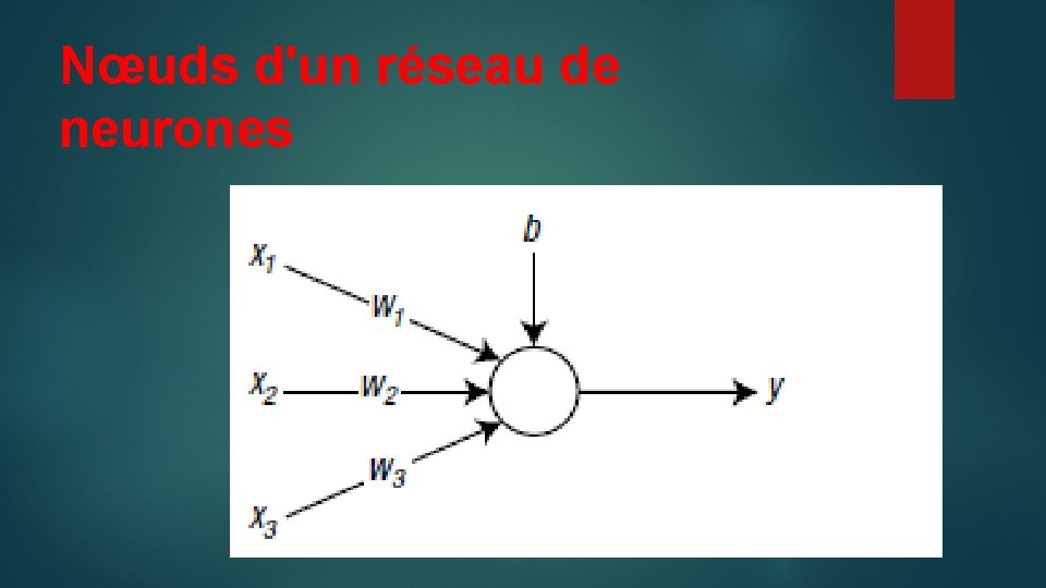 Nœuds d'un réseau de neurones 