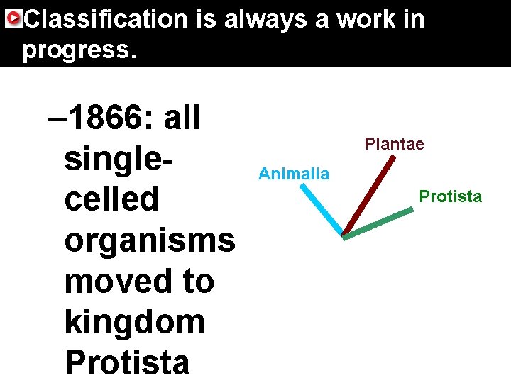 17. 4 Domains and Kingdoms Classification is always a work in progress. – 1866: