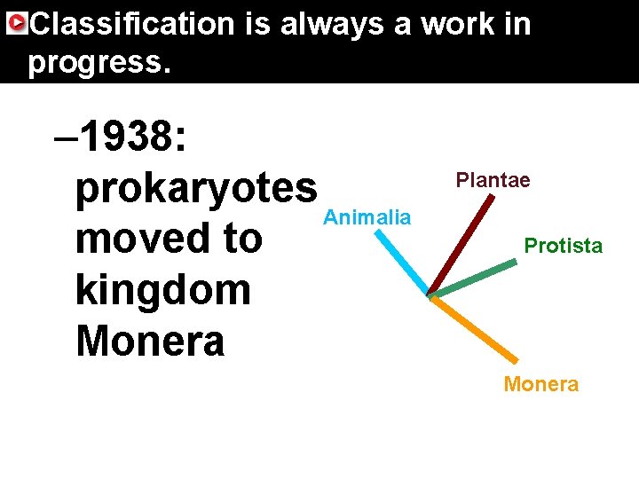 17. 4 Domains and Kingdoms Classification is always a work in progress. – 1938: