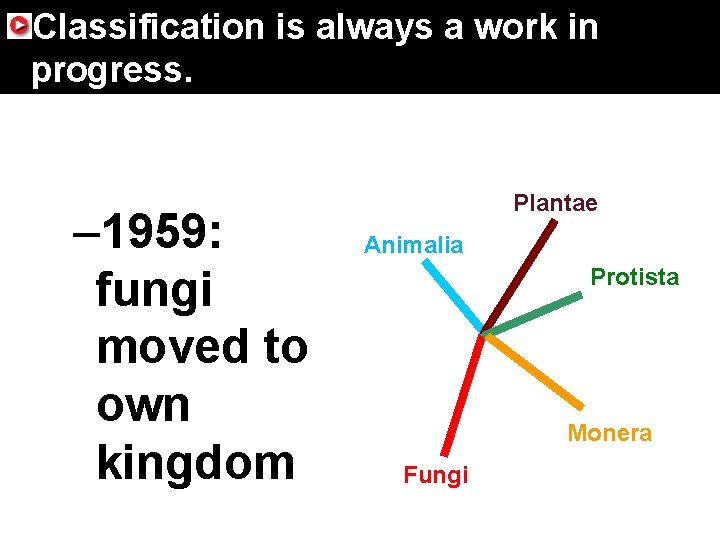 17. 4 Domains and Kingdoms Classification is always a work in progress. – 1959: