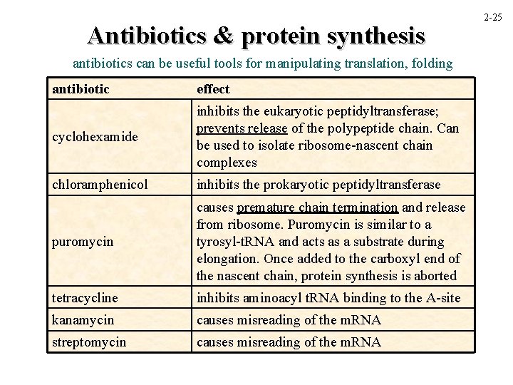 Antibiotics & protein synthesis antibiotics can be useful tools for manipulating translation, folding antibiotic