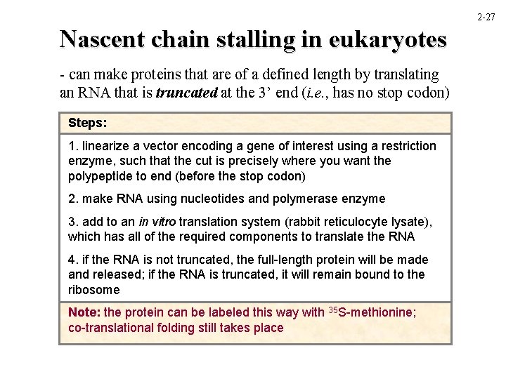 2 -27 Nascent chain stalling in eukaryotes - can make proteins that are of