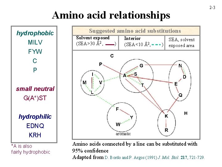 Amino acid relationships hydrophobic MILV FYW C P Suggested amino acid substitutions Solvent exposed
