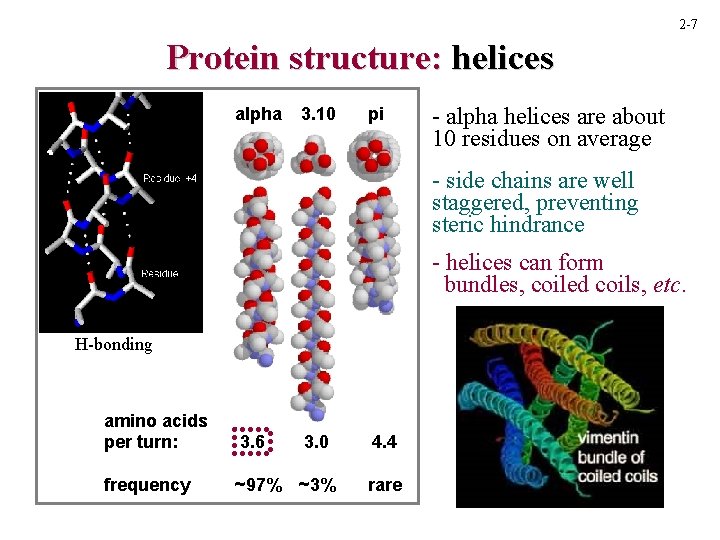 2 -7 Protein structure: helices alpha 3. 10 pi - alpha helices are about