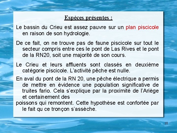 Espèces présentes : Le bassin du Crieu est assez pauvre sur un plan piscicole